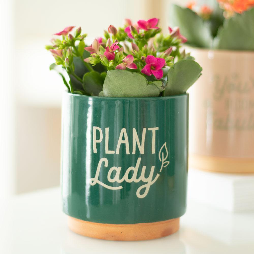 Plant Lady Plant Pot-Breda's Gift Shop