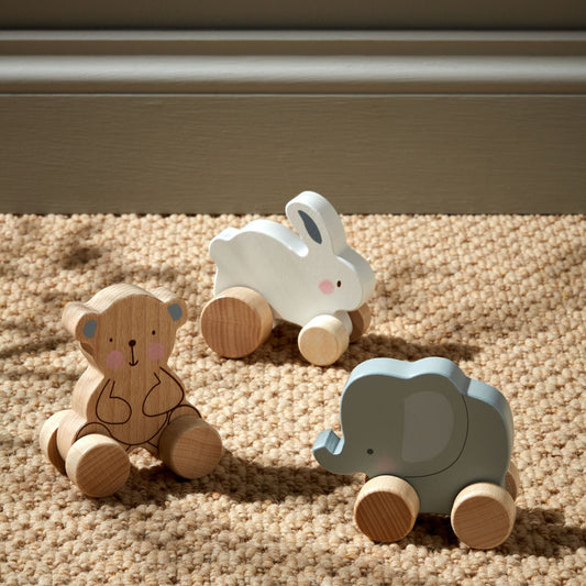 Wooden Push Toys-Breda's Gift Shop